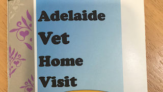 Adelaide Vet Home Visit