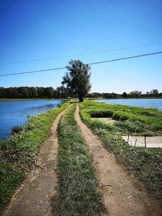 Agroturystyka nad stawami