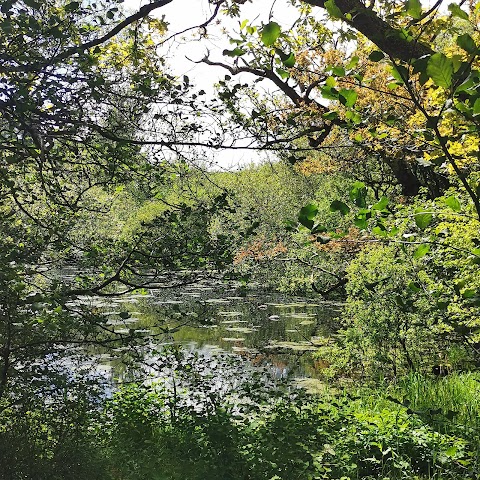 Back Avenue Doorly Park, Pier on the Garavogue