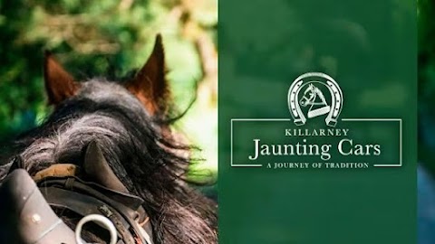 Killarney Jaunting Cars - Tangney Tours