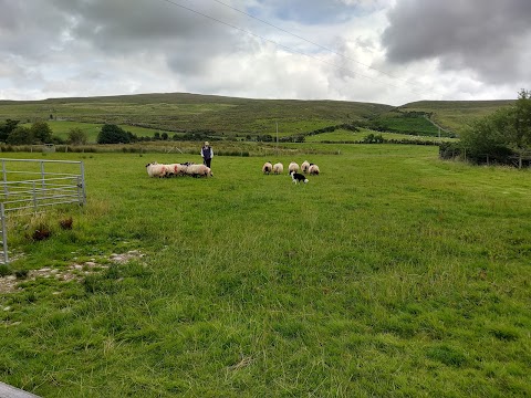 The Glen Keen Estate & Glen Keen Farm