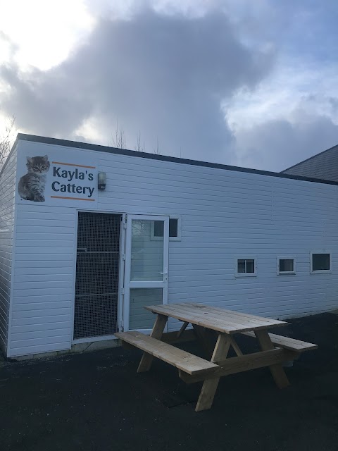 Ardfert Boarding Kennels and Dog Grooming