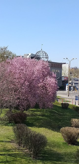 Gliwice Teatr