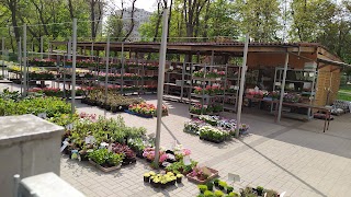 Flowers market