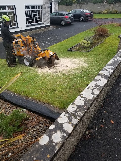 Paul's Property Maintenance