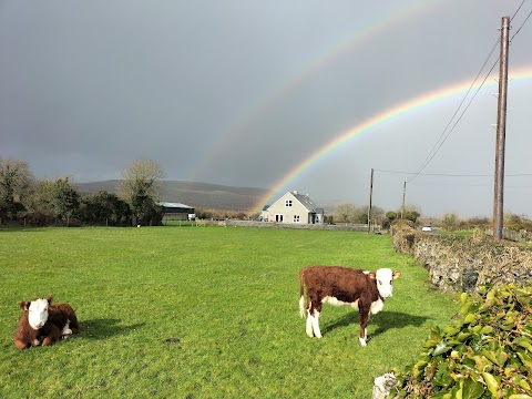 The Burren B&B