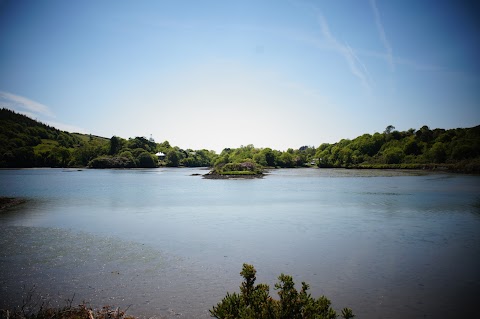 Ardfield Rathbarry Tennis Club