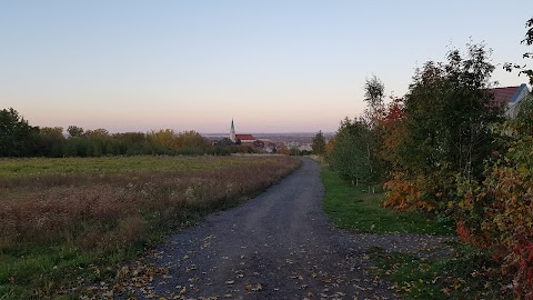 Szczere Pole Restauracja z Ogrodem