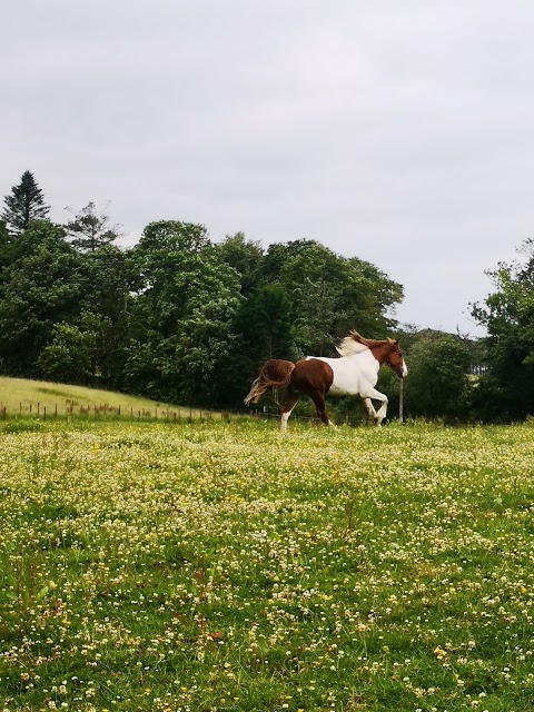 Dromquinna STABLES