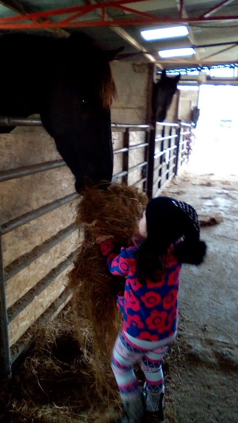 Rockafoyle Stables