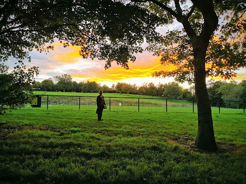 Beaumont Park