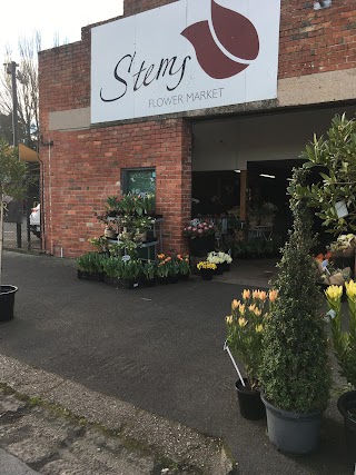 Stems Flower Market