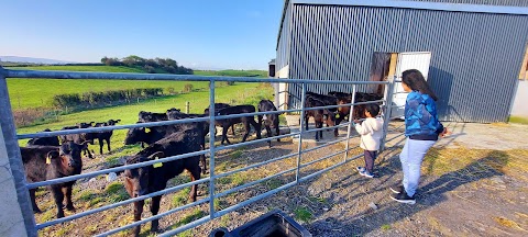 Westport Glamping At Doon Angus Farm