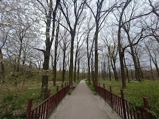 Park Maślicki we Wrocławiu