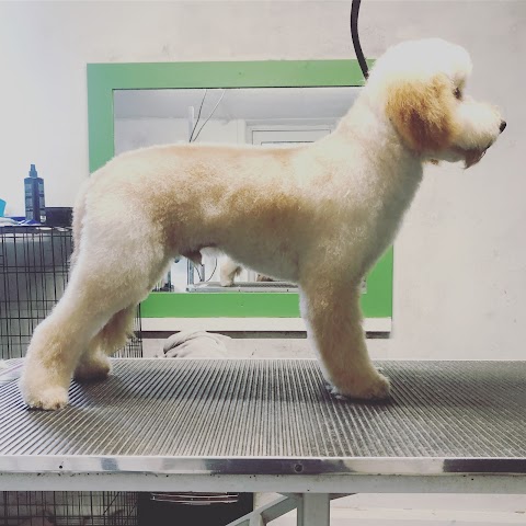 BOW WOW Dog Grooming, Milltown, Tuam.