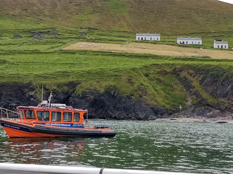 Blasket Islands Eco Marine Tours