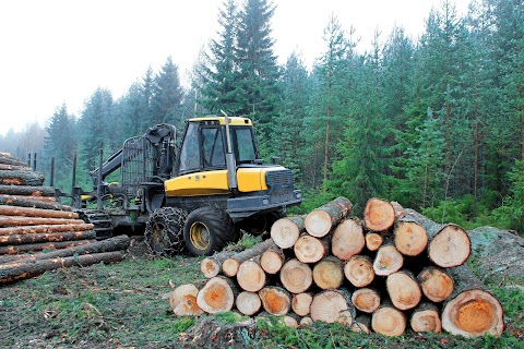 Cork Firewood Co. - Tinteán Firewood