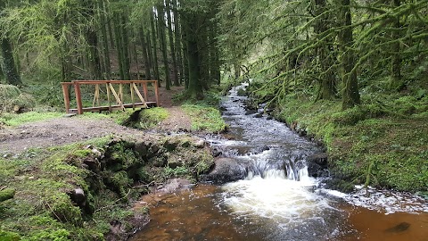 Ballard Waterfall Forest Recreational Area