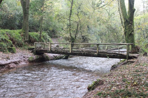 Glenbower Wood