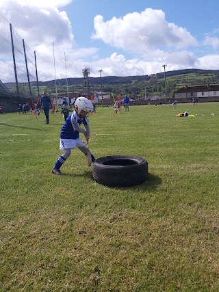 St Marys Hurling Club & Camogie Club