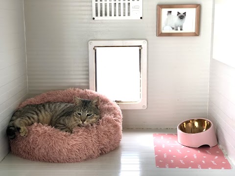 Rose’s Cat Hotel