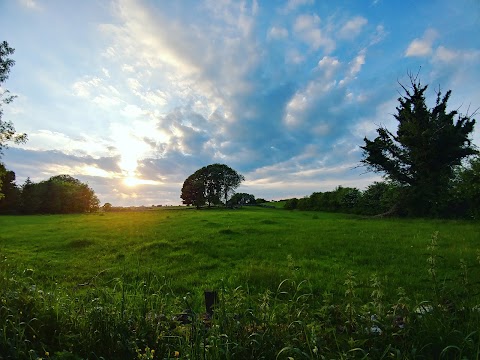 Lisdonagh House