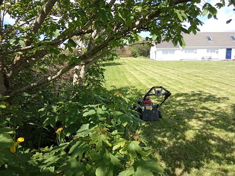 Matthew Carolan Gardening