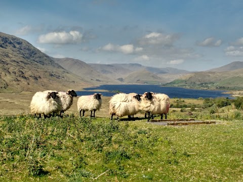 Liam Bourke's Ireland