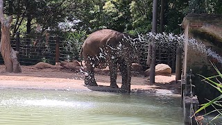 26-Melbourne Zoo/Royal Park