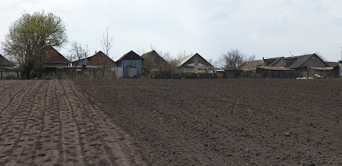 КУСТОВЕЦЬКА ЗАГАЛЬНООСВІТНЯ ШКОЛА І-ІІІ СТУПЕНІВ