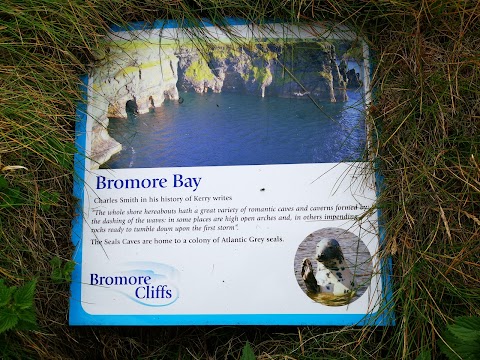 Bromore Cliffs