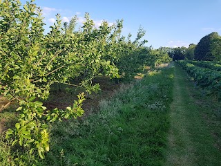 The Apple Camping and Caravan Park