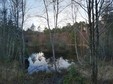 Glengarriff Woods Car Park(Carrchlós Coiltte Gleann Garbh)