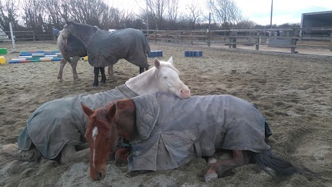 Carmen's Riding School