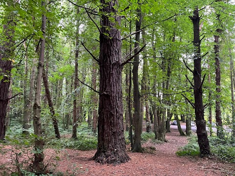 Beleek Wood Car Park