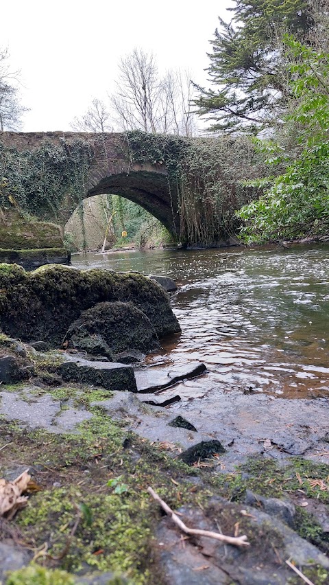 Clare Glens Waterfall