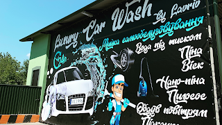 Luxury Car Wash by Lavriv