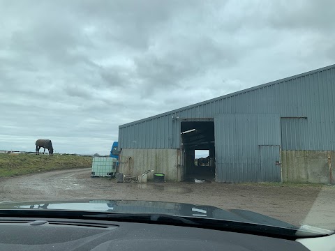 Ballyjennings Stables