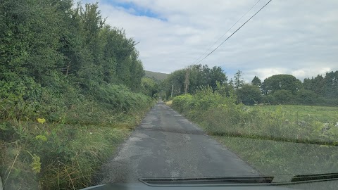 Burren View