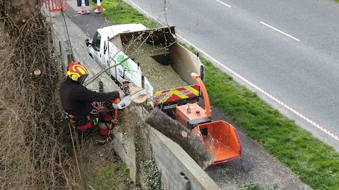 Tree Surgeons & Tree Removal - Pro Gardening - Limerick