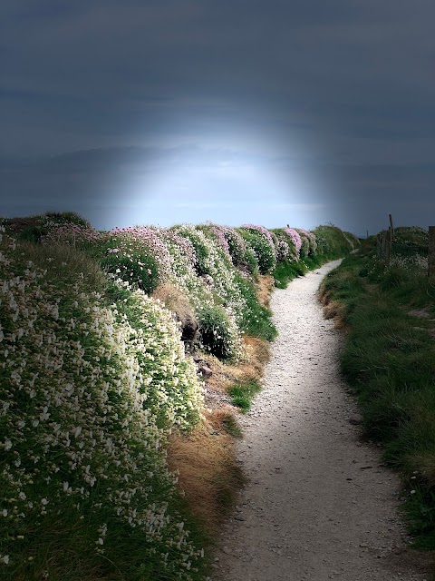 Capel Way Cliff Walk