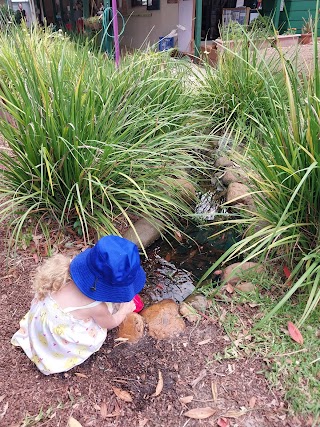 Tamborine Mountain Community Kindergarten