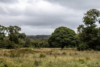 Glengarriff Woods Car Park(Carrchlós Coiltte Gleann Garbh)