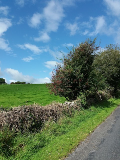 Corofin Country House