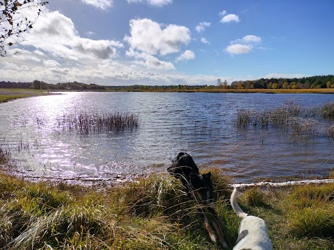 Derryounce Lakes and Walkways