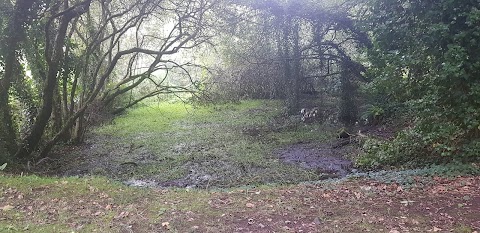 Quarry Garden