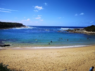 Little Bay Rock Pool