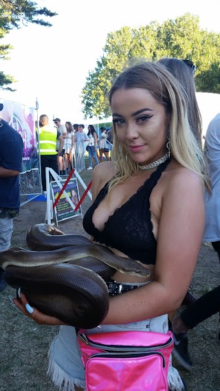 Reptile Party Melbourne