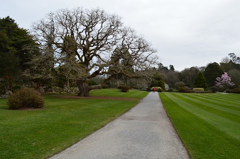 Muckross Garden Restaurant