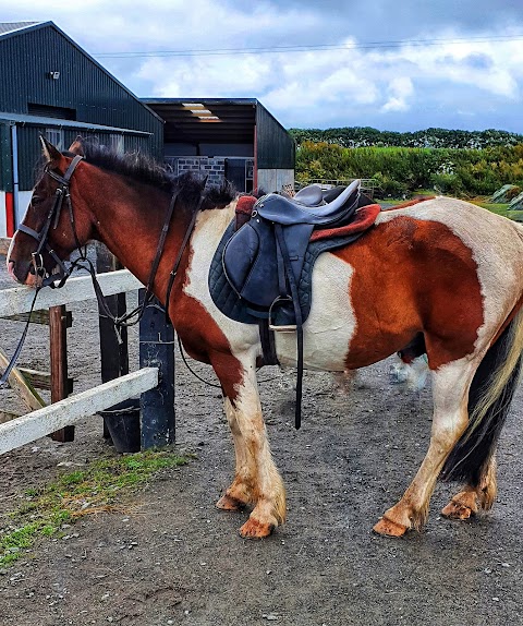 Carrowholly Stables